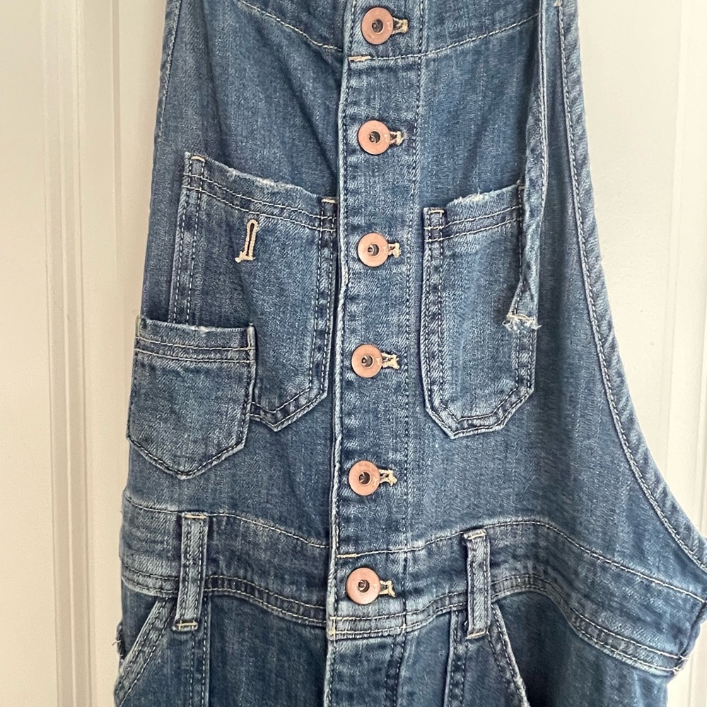 Anthropology Overalls